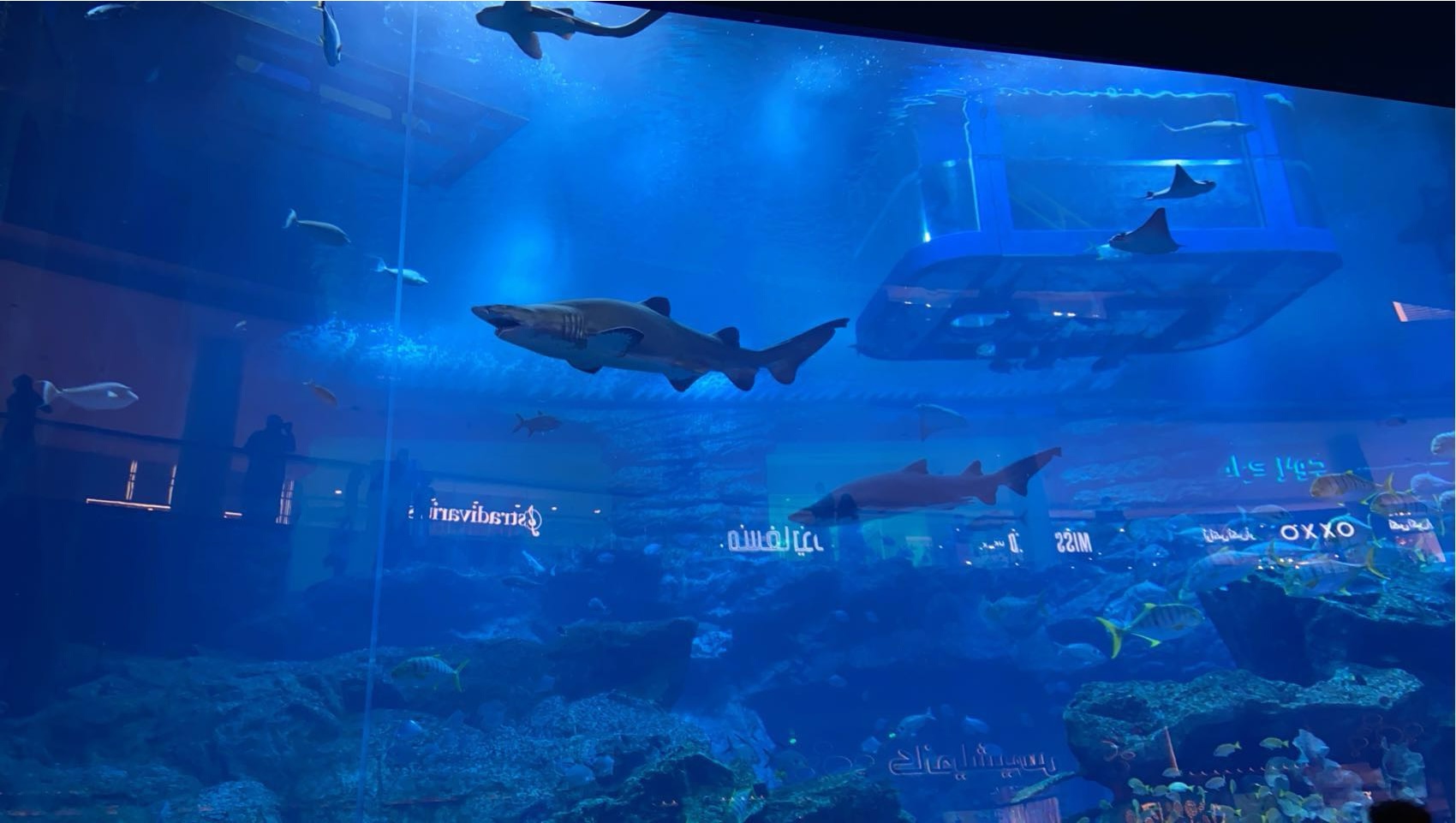 Dubai Aquarium